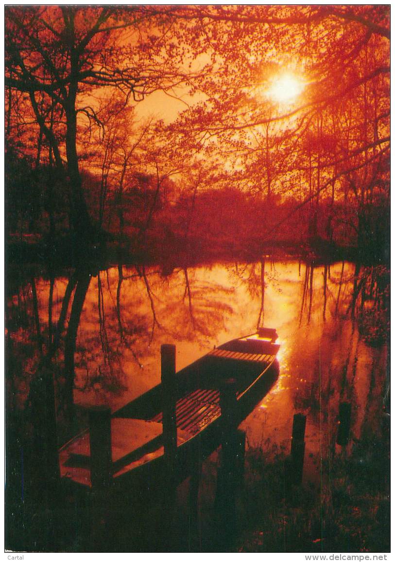 CPM - SPREEWALD - Romantik - Burg (Spreewald)