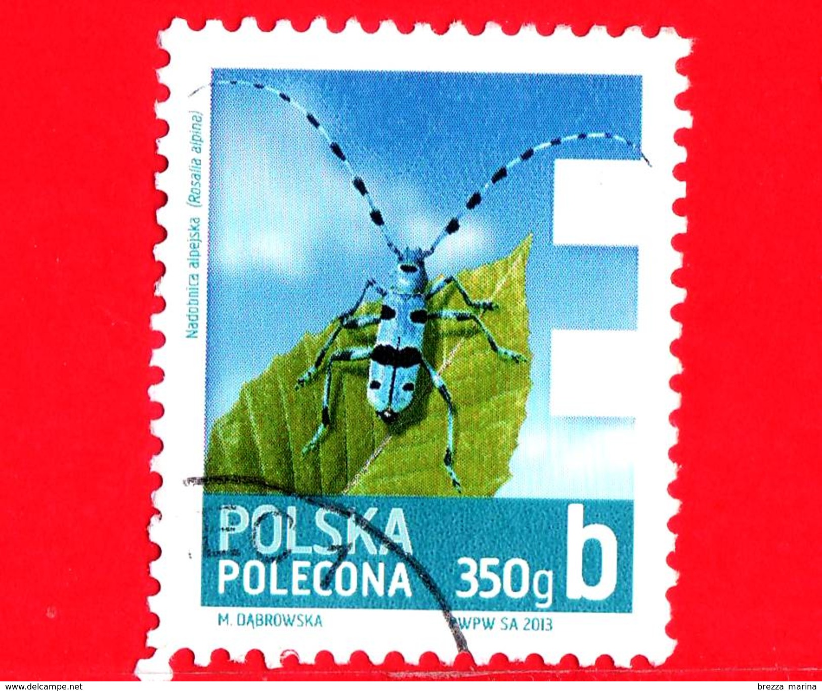 POLONIA - Usato - 2013 - Francobollo Posta Economica - 350g - Insetti - Cerambice Del Faggio - Rosalia Alpina - B - 350 - Oblitérés