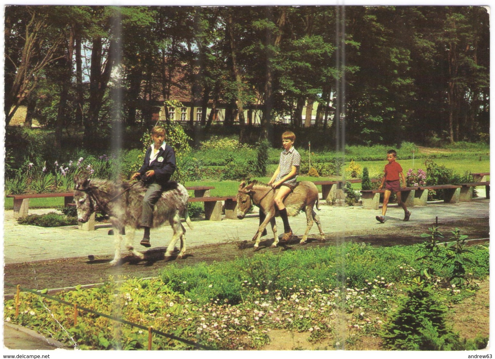 GERMANIA - GERMANY - Deutschland - ALLEMAGNE - BUNDESPOST - 1991 - 30 Weimar - Ueckermünde - Tierpark, Asini, Bambini - - Ueckermuende