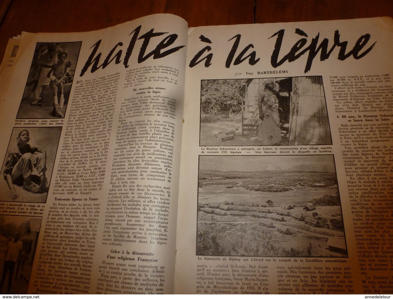 1955 LE COMBATTANT D'INDOCHINE:J'étais prisonnier du Vietminh; Opé. Fellaga de G. de Villiers; Mitterand; Ho Chi Minh