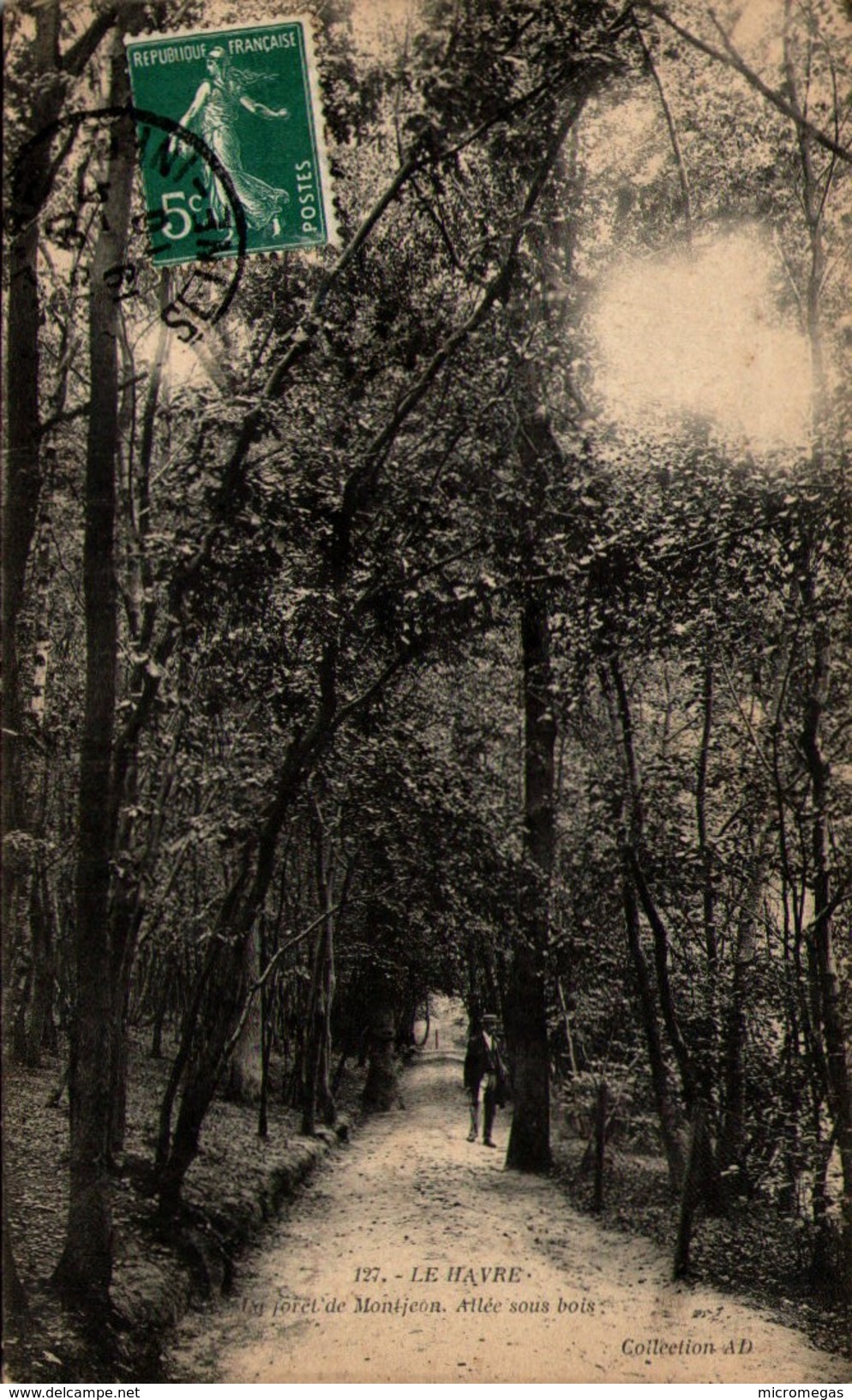 LE HAVRE - La Forêt De Montjeon - Allée Sous Bois - Forêt De Montgeon