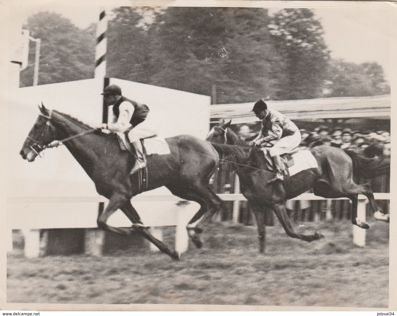 Hippisme Photo New York Times 16/5/1938 Grand Prix De BRUXELLES Cheval Antonyn Jockey Tucker Pro Holdert - PLI - Ruitersport