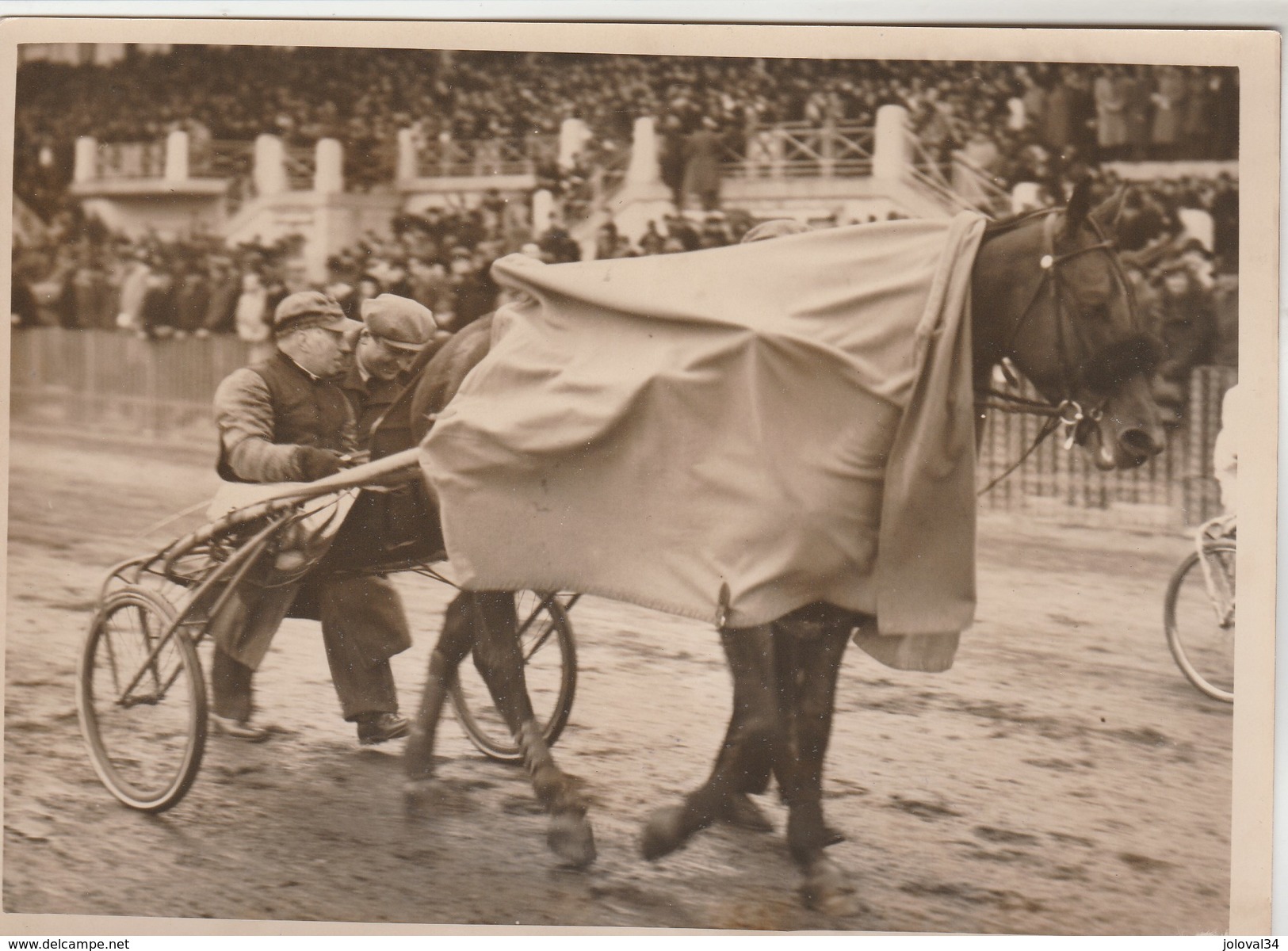 Hippisme Photo New York Times Fin Des Années 30 Cheval Sulky Trot ( Vincennes ? ) Driver Et Propriétaire Après L'arrivée - Equitation