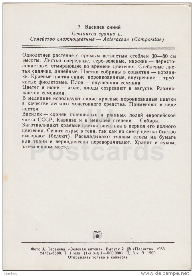 Cornflower - Centaurea Cyanus - Medicinal Plants - 1983 - Russia USSR - Unused - Medicinal Plants