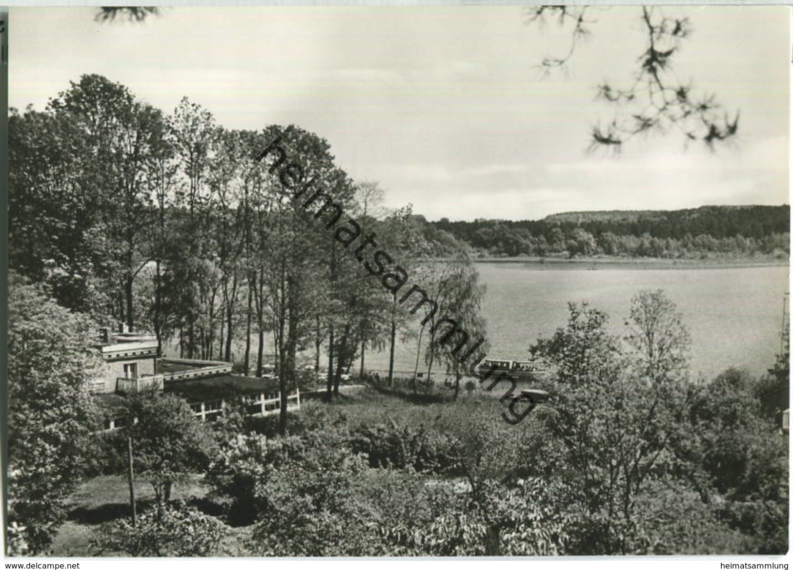 Buckow - Schermützelsee - Buchenfried - Foto-Ansichtskarte - Buckow