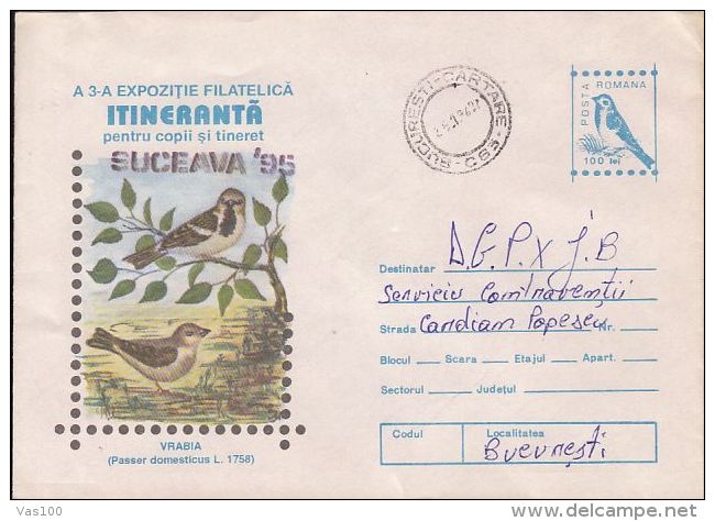 BIRDS, HOUSE SPARROW, COVER STATIONERY, ENTIER POSTAL, 1996, ROMANIA - Sparrows