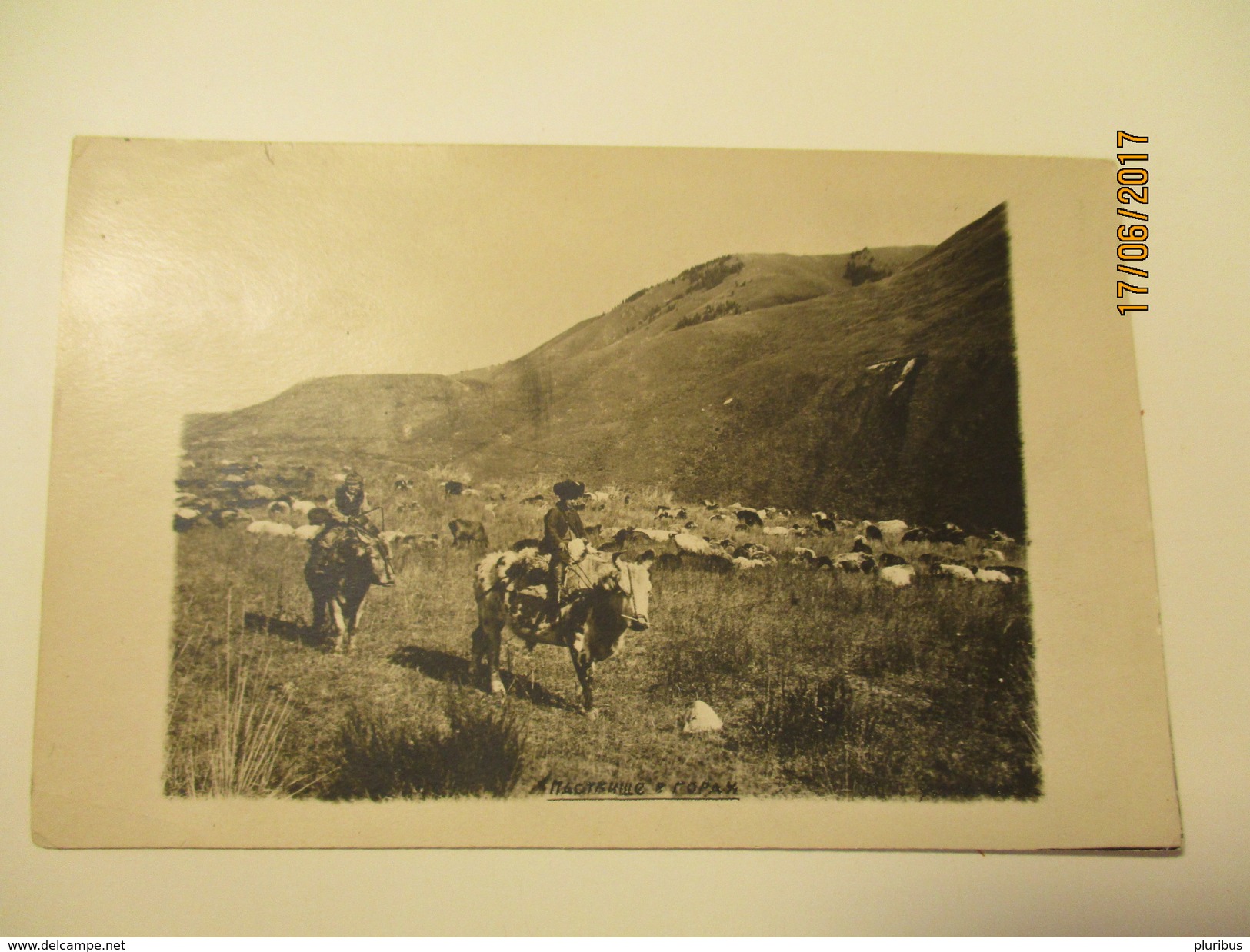 RUSSIA ? MONGOLIA ? BURYATIA ? KYRGYSTAN ? KAZAKHSTAN ? PASTURING SHEPHERD , BOY WITH RED ARMY TOPED HAT, OLD REAL PHOTO - Kirghizistan