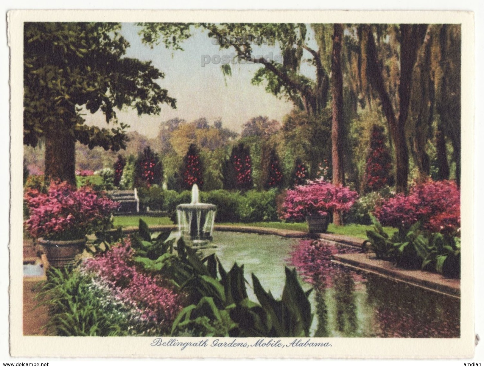 Mobile AL, Bellingrath Gardens 12 X 1930s Views Lot / Collection Vintage Alabama Postcard Set - Mobile