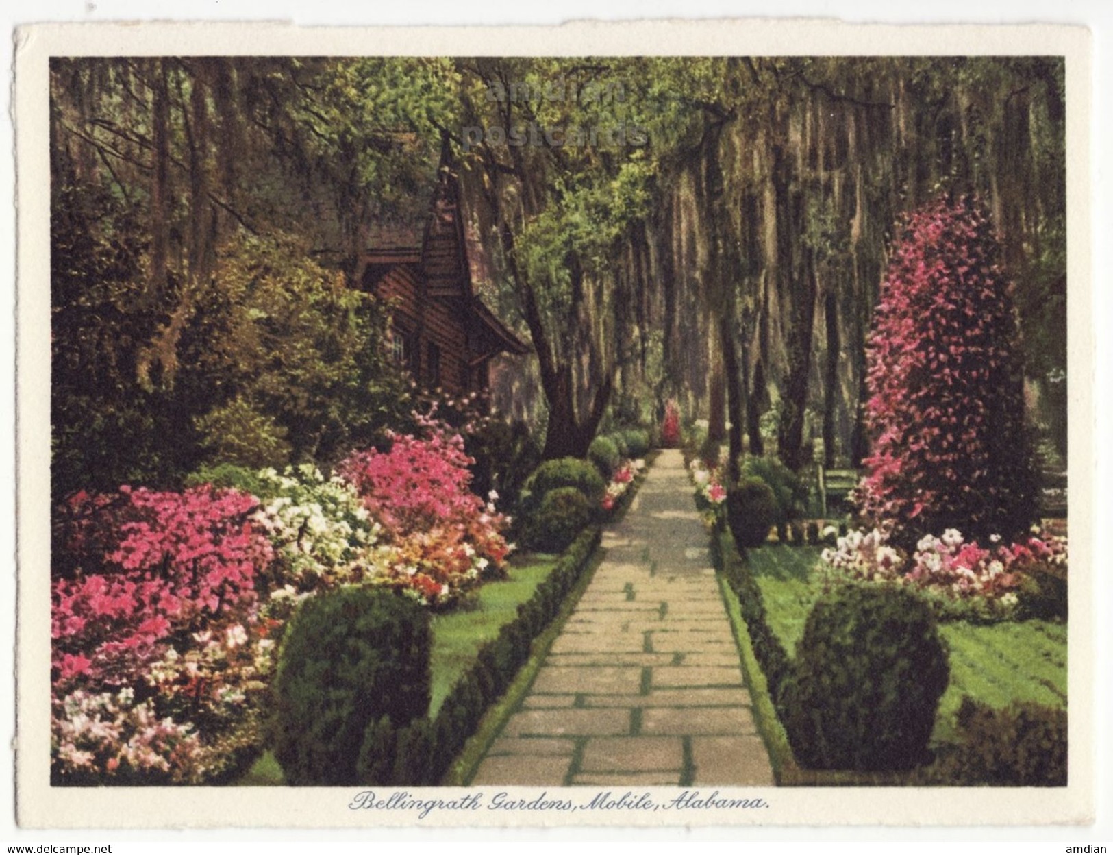 Mobile AL, Bellingrath Gardens 12 x 1930s views lot / collection vintage Alabama postcard set