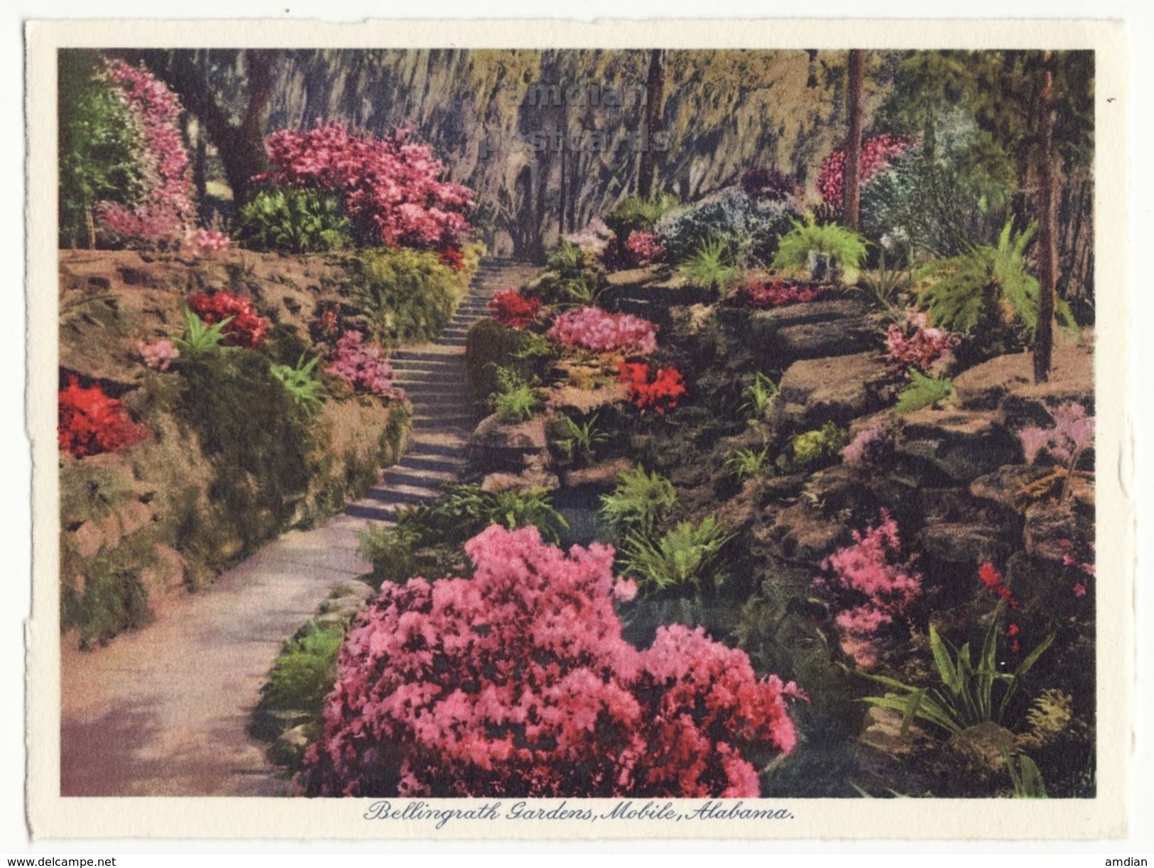 Mobile AL, Bellingrath Gardens 12 x 1930s views lot / collection vintage Alabama postcard set