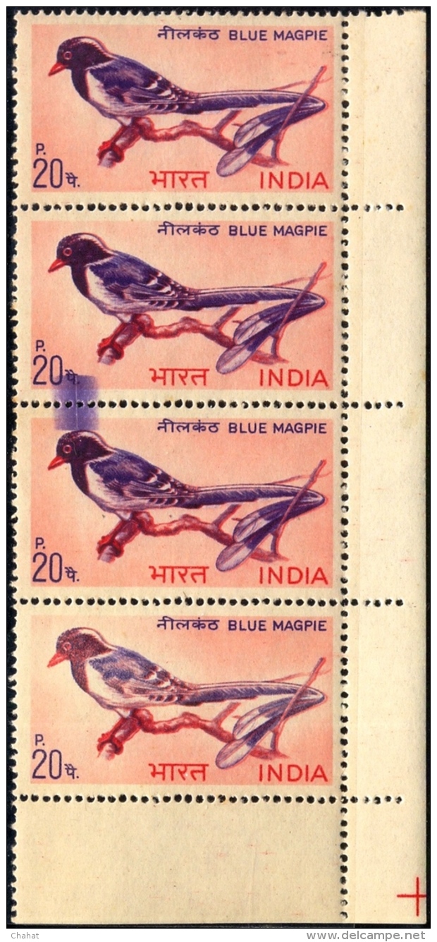 BIRDS-BLUE MAGPIE-INDIAN BIRDS SERIES-ERROR-CORNER STRIP OF 4-INDIA-1968-WITH A SPECIAL COVER-BX1-369 - Cuckoos & Turacos