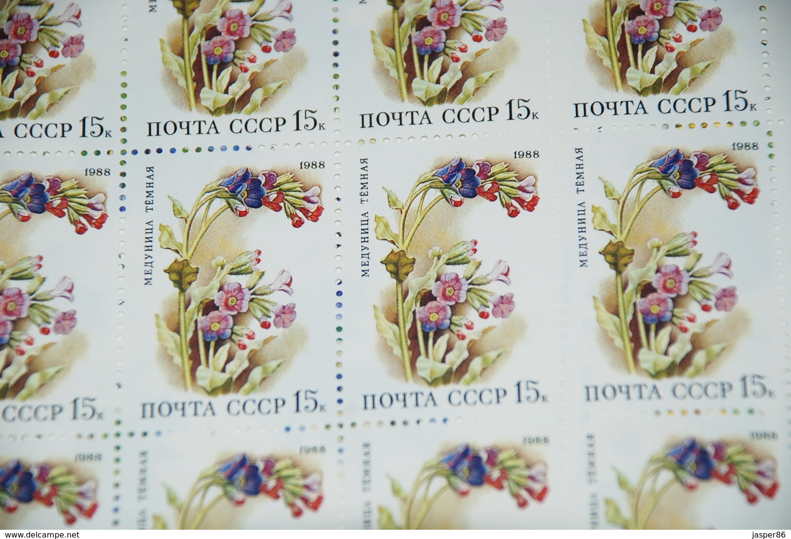 Russia MNH Sc 5687-5691 Mi 5847-5851 Bell Flower, Lily Complete sheets CV$100.80