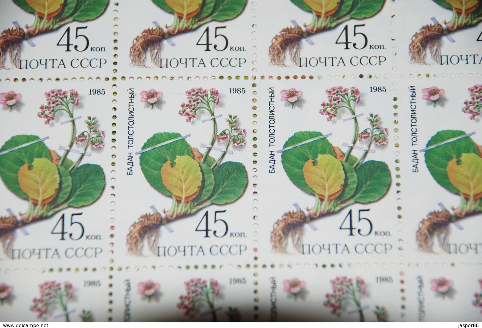 Russia VF MNH Sc 5379-83 Mi 5528-32 Siberia Medical Plants Full Sheets CV$100 - Volledige Vellen