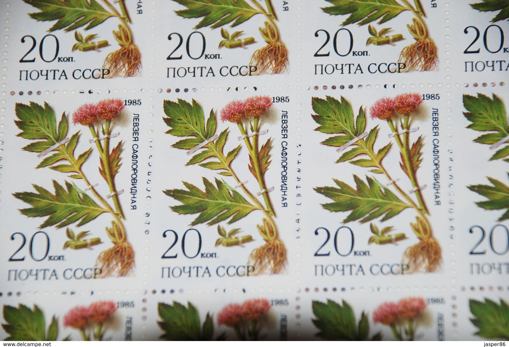 Russia VF MNH Sc 5379-83 Mi 5528-32 Siberia Medical Plants Full Sheets CV$100 - Hojas Completas