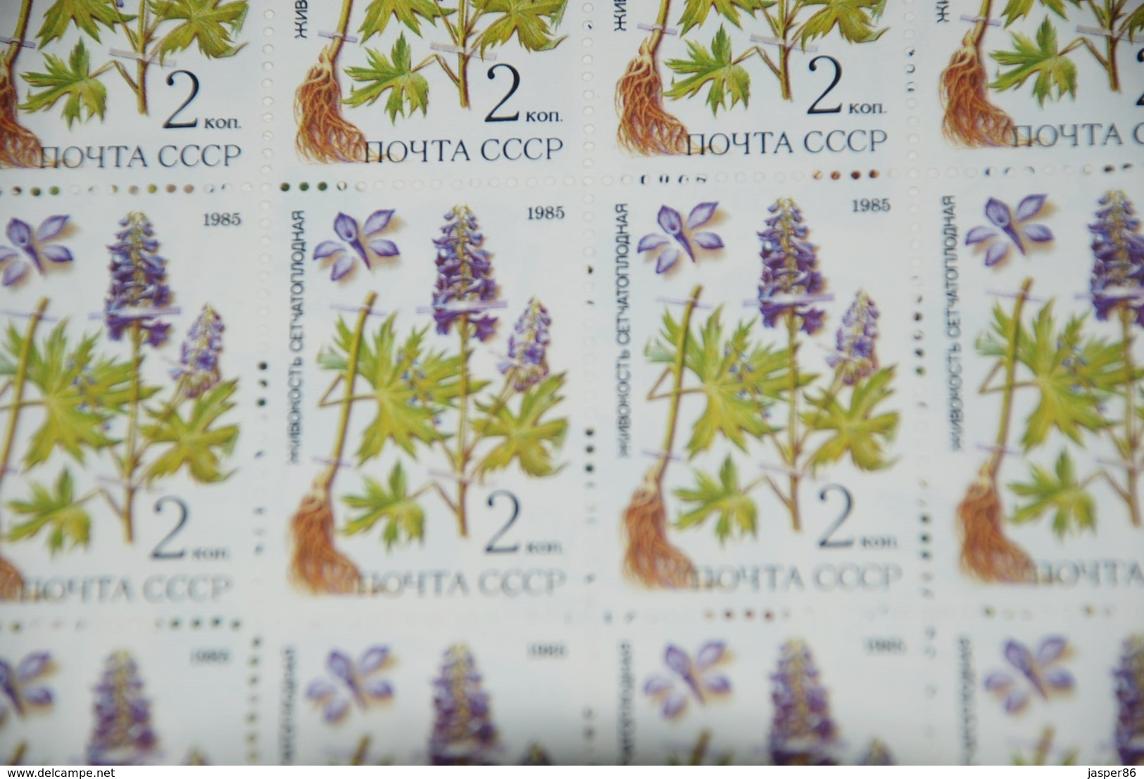 Russia VF MNH Sc 5379-83 Mi 5528-32 Siberia Medical Plants Full sheets CV$100