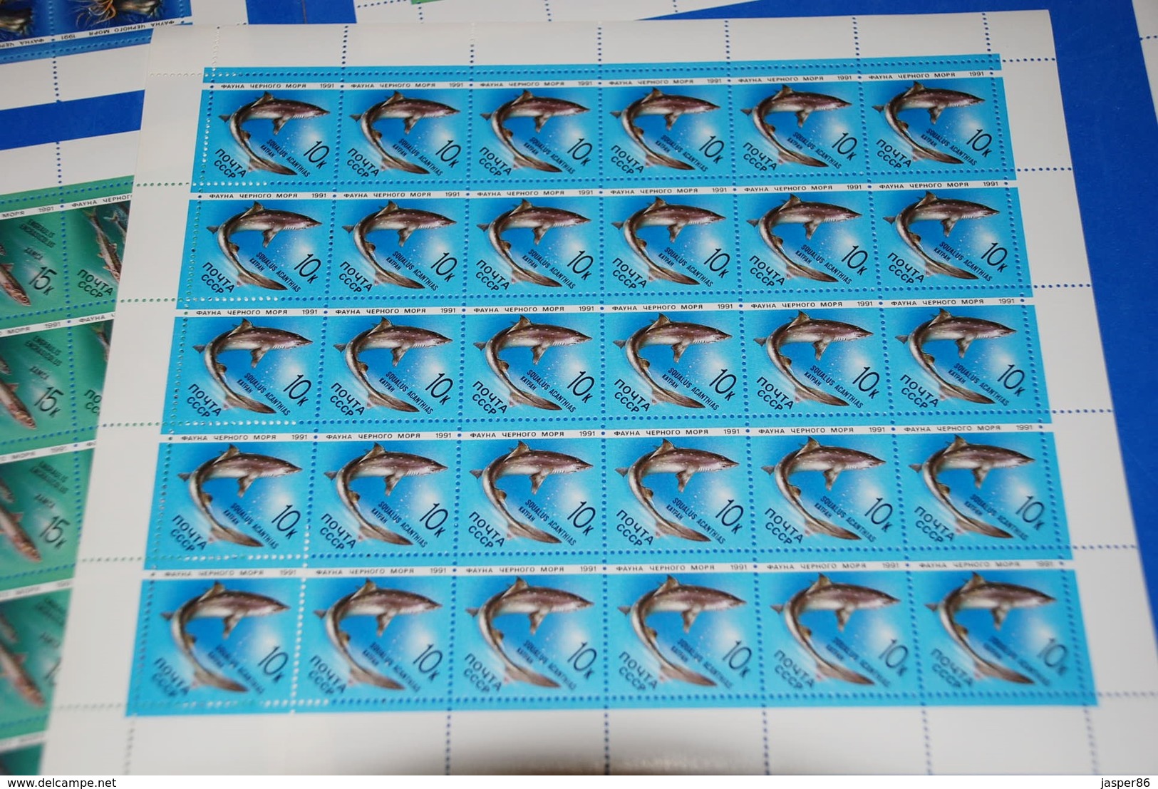 Russia MNH Sc 5954-5958 Mi 6158-62 Marine Life Fish Dolphin 5 X Complete Sheets - Ganze Bögen