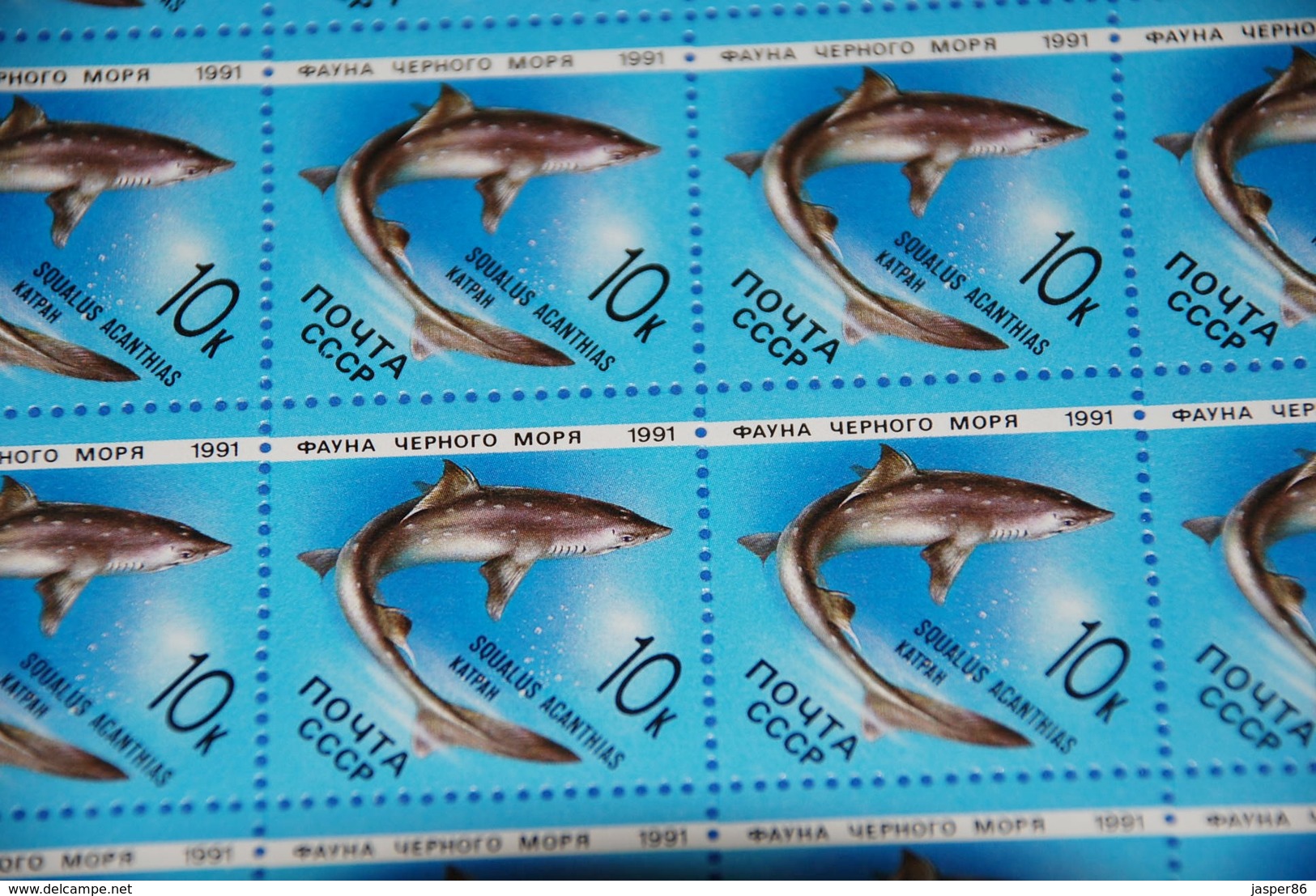 Russia MNH Sc 5954-5958 Mi 6158-62 Marine Life Fish Dolphin 5 X Complete Sheets - Volledige Vellen