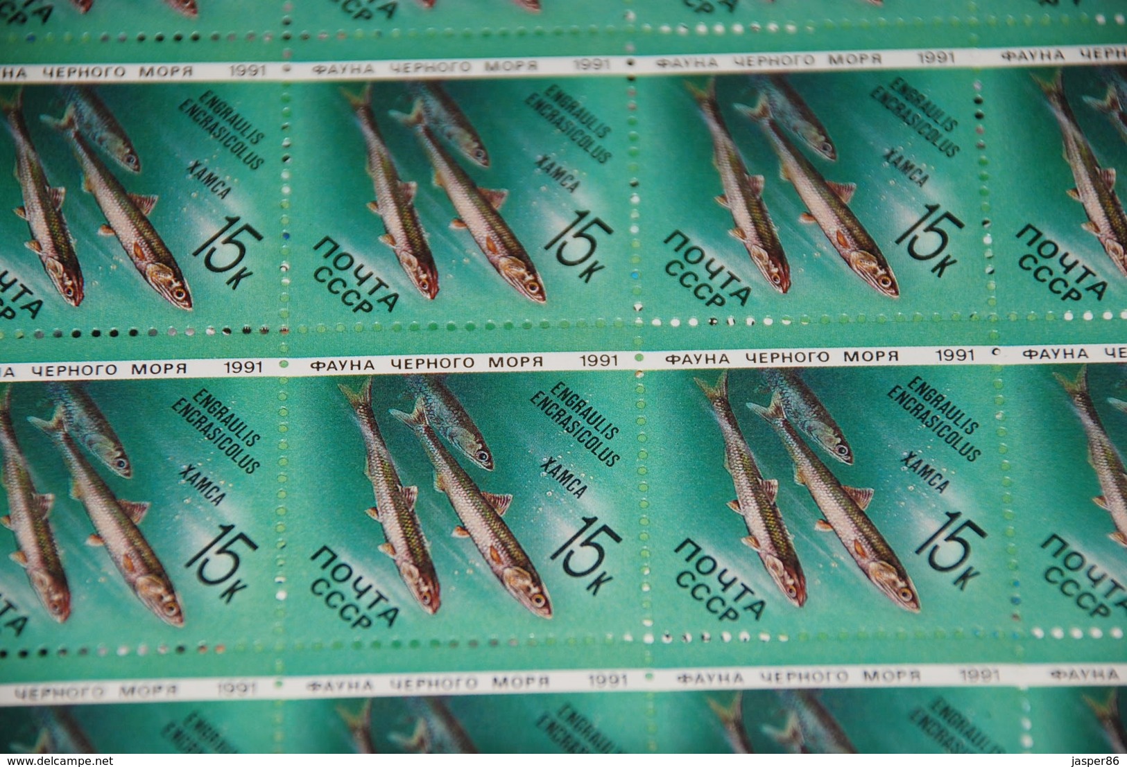 Russia MNH Sc 5954-5958 Mi 6158-62 Marine Life Fish Dolphin 5 x Complete sheets