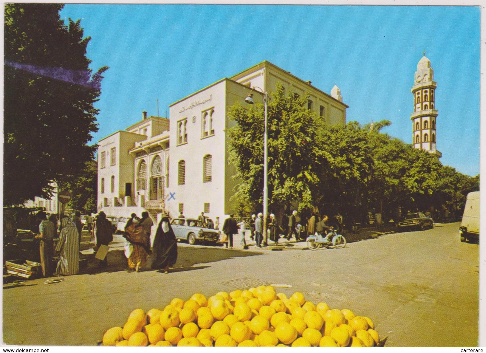 AFRIQUE,MAGHREB,HAUTS PLATEAUX,SETIF,LA POSTE,PAMPLEMOUSSE - Setif