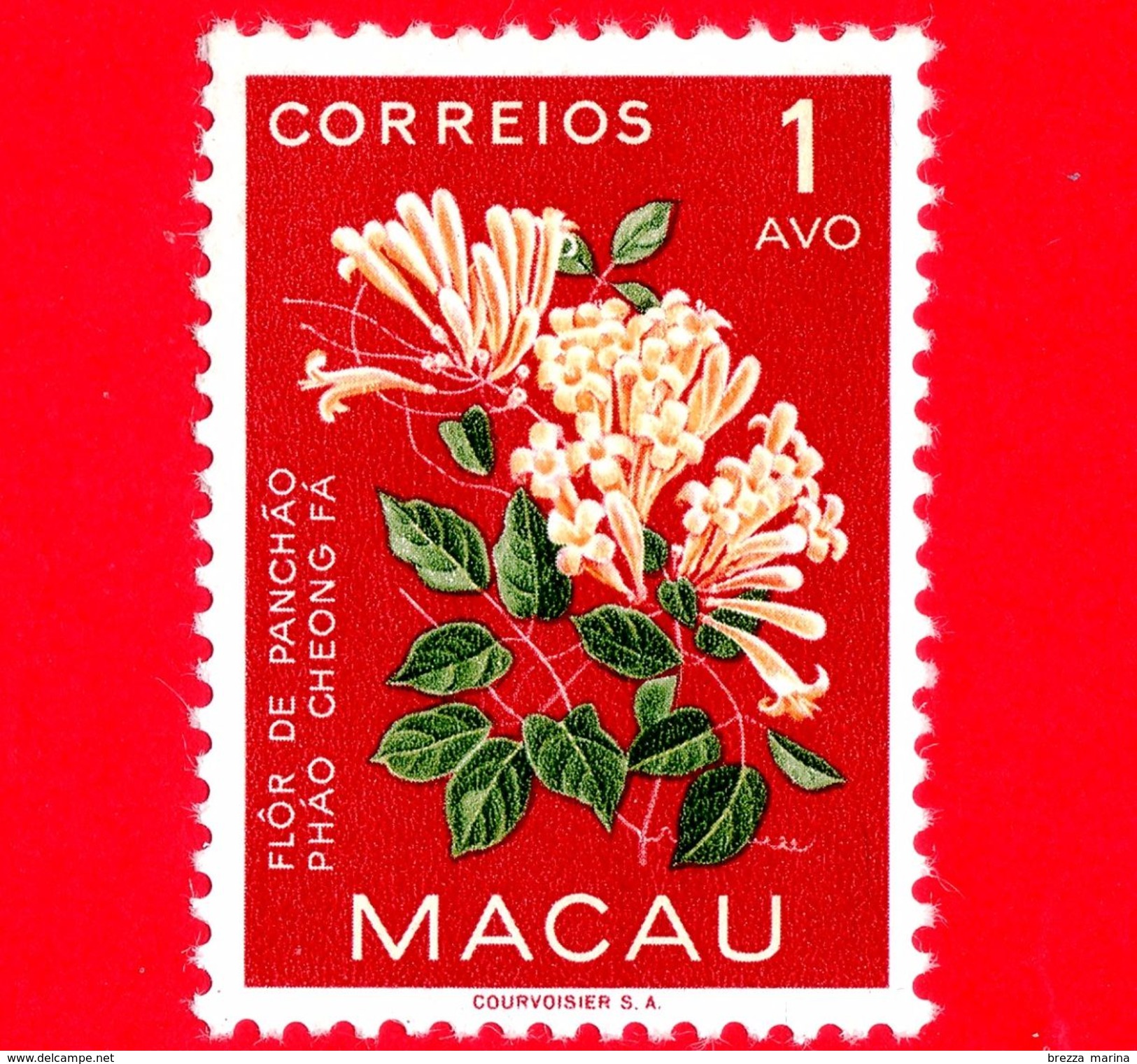 Nuovo - MNH - MACAO - 1953 - Flora - Fiori - Lonicera - Caprifoglio - Honeysuckle - 1 - Unused Stamps