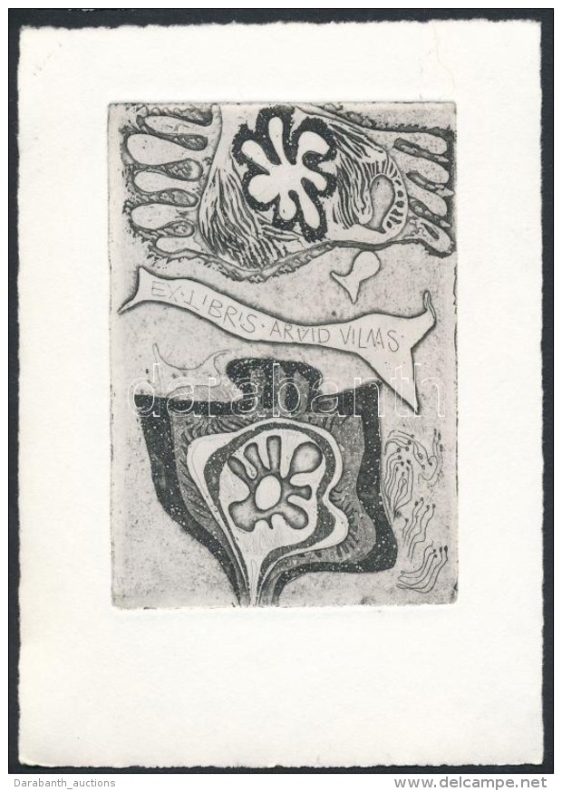 Tolli, Vive (1928- ): Ex Libris, R&eacute;zkarc, Pap&iacute;r, Jelzett, 9,5&times;6,5 Cm - Other & Unclassified