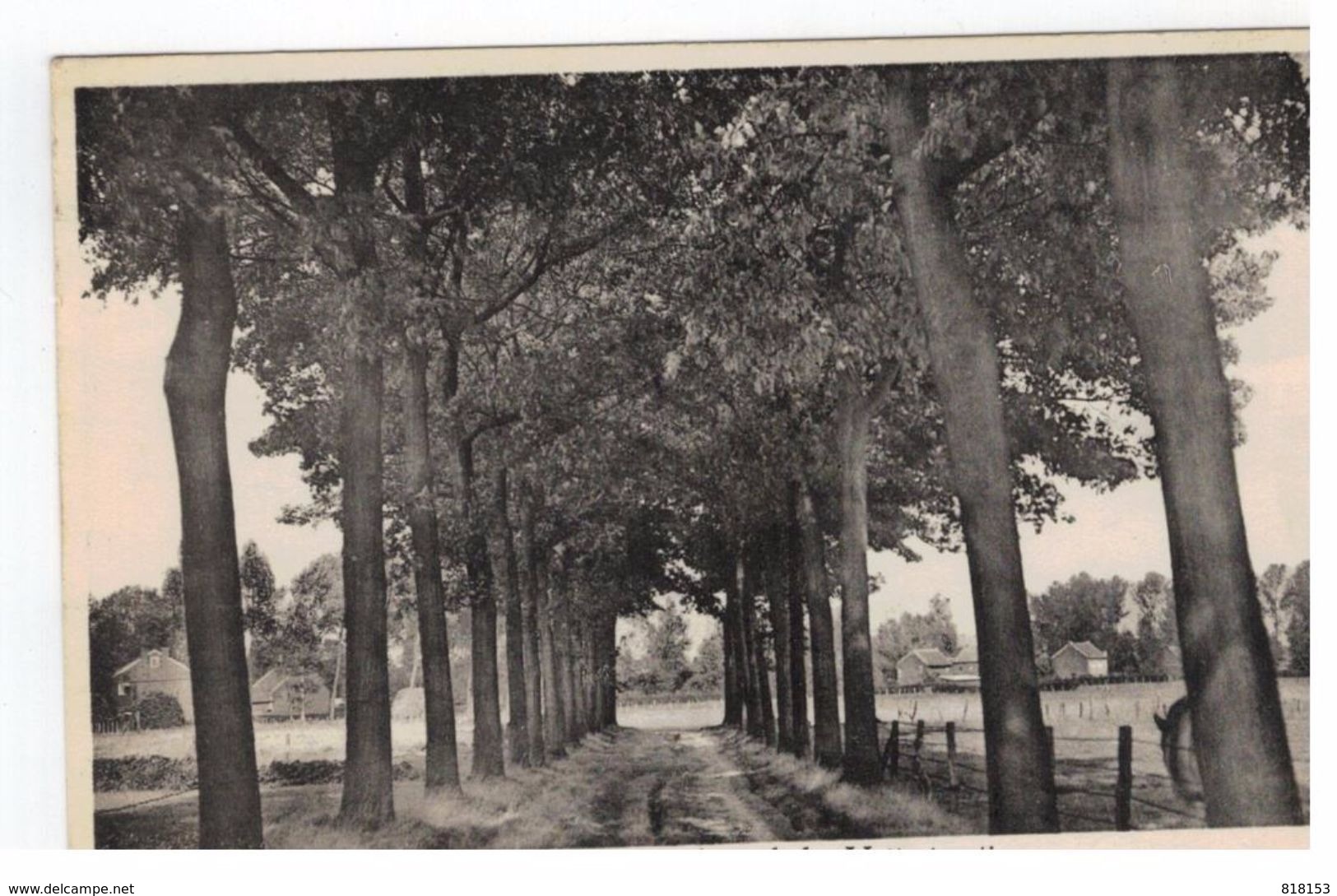 Opgrimbie  Eikenlaan , Links Mettestraatje - Maasmechelen