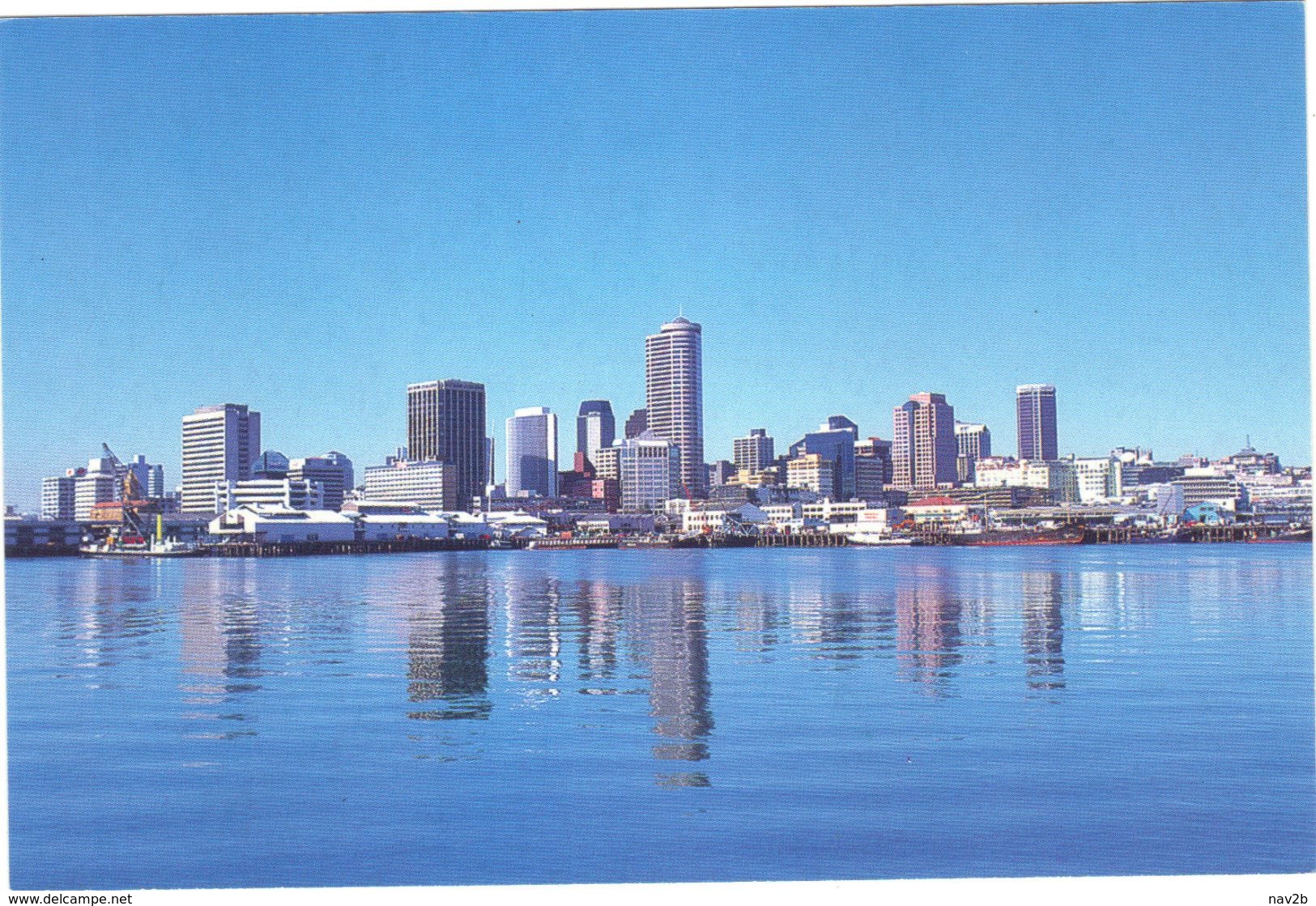 Entier Carte Postale Neuve ;  Auckland . - Entiers Postaux