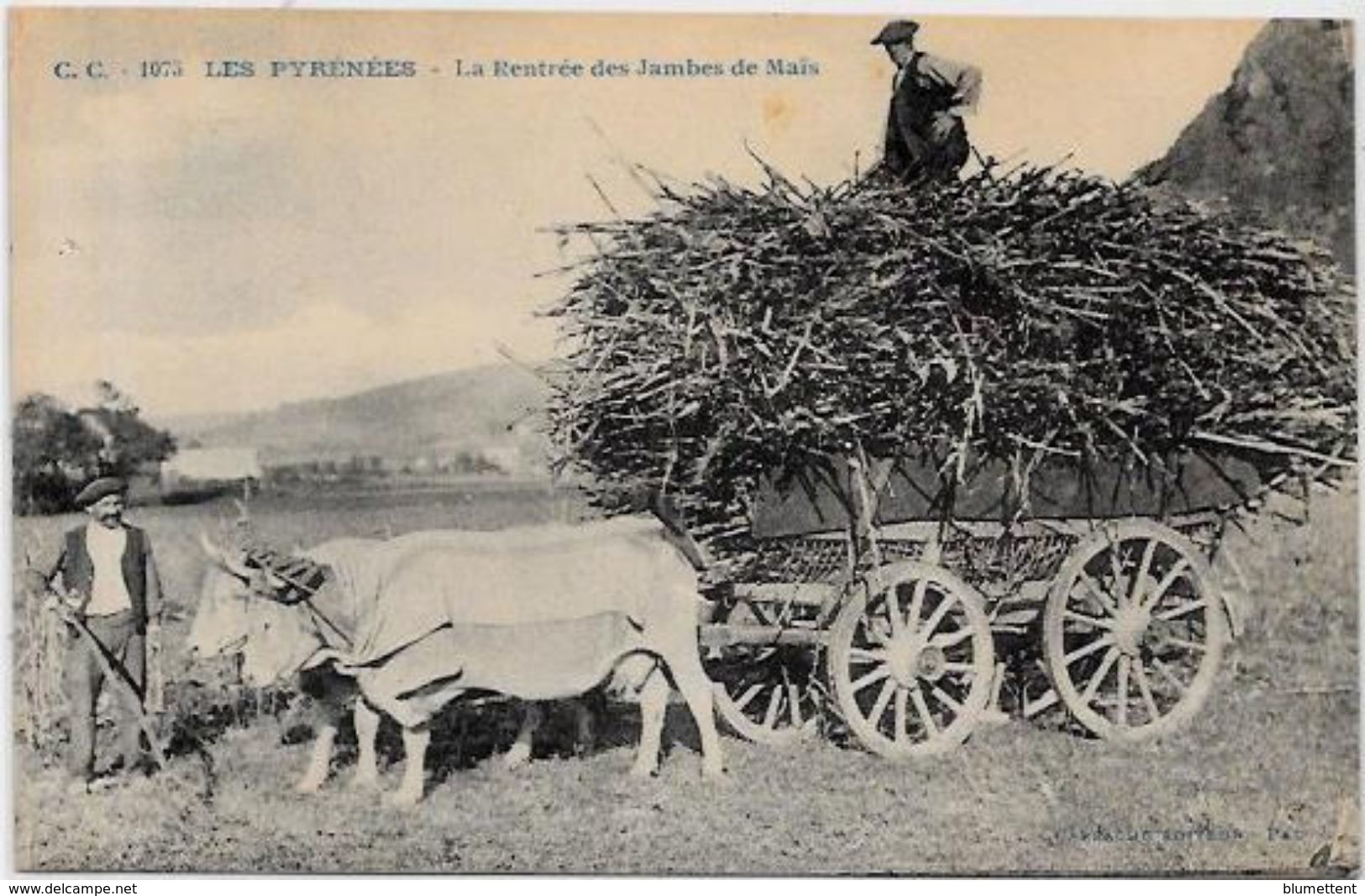 CPA  Attelage Campagne Travaux Des Champs Métier Non Ciculé Pyrénées - Teams