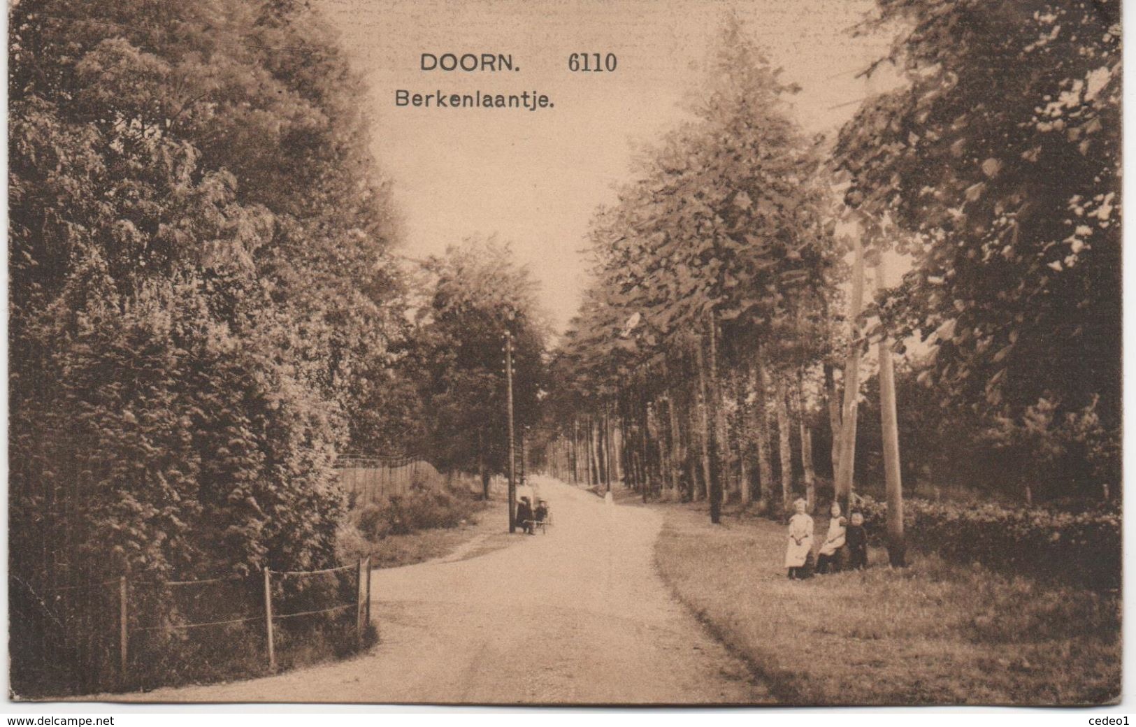 DOORN  BERKENLAANTJE - Doorn