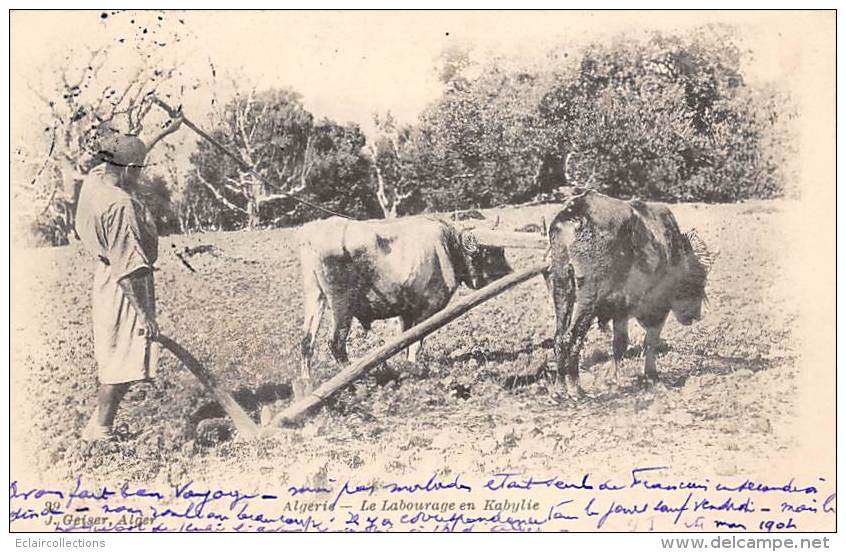 Thème: Agriculture. Battage. Moisson. Labourage En Kabylie     (voir Scan) - Equipos