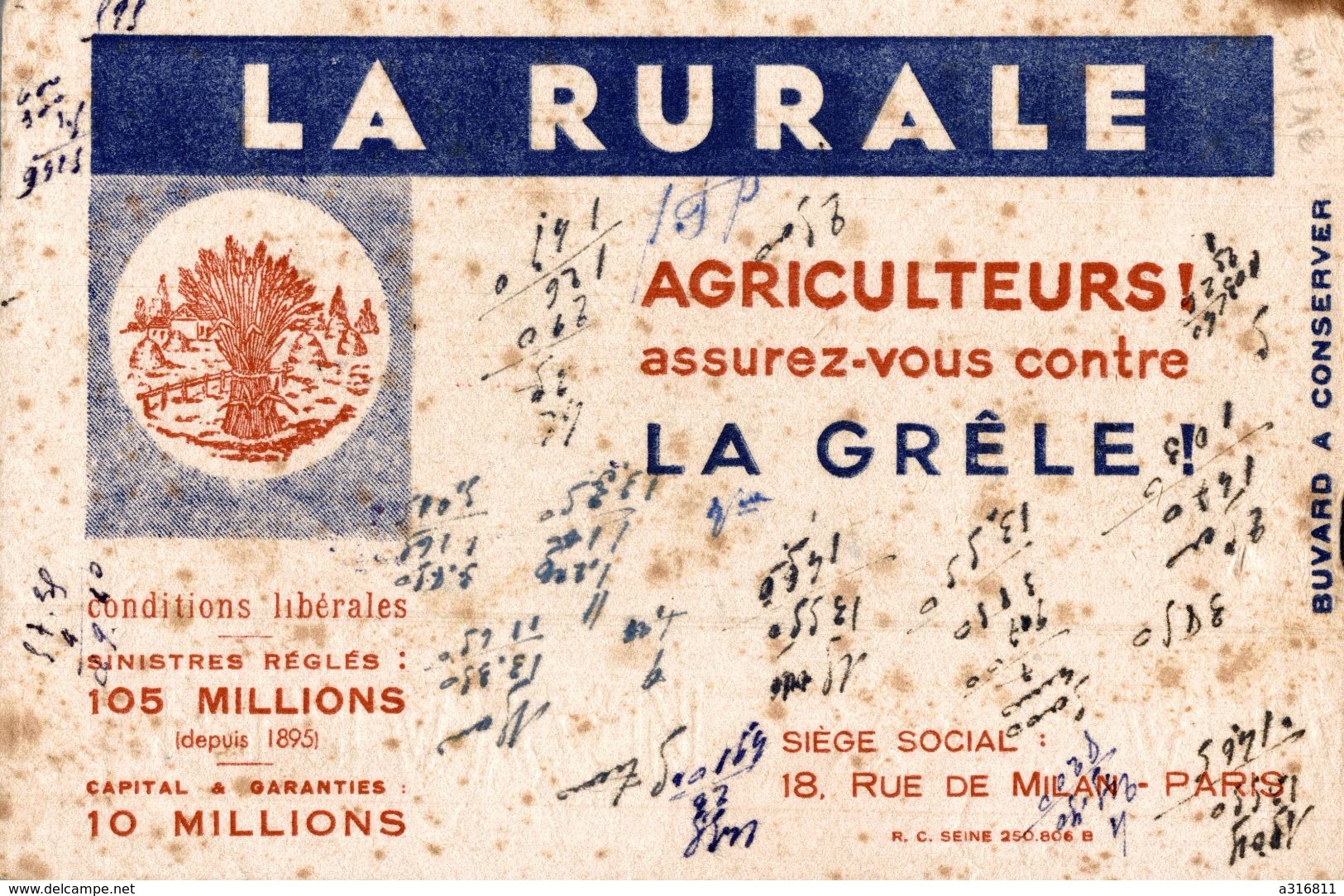 LA RURALE AGRICULTEURS ASSUREZ VOUS CONTRE LA GRELE - Farm