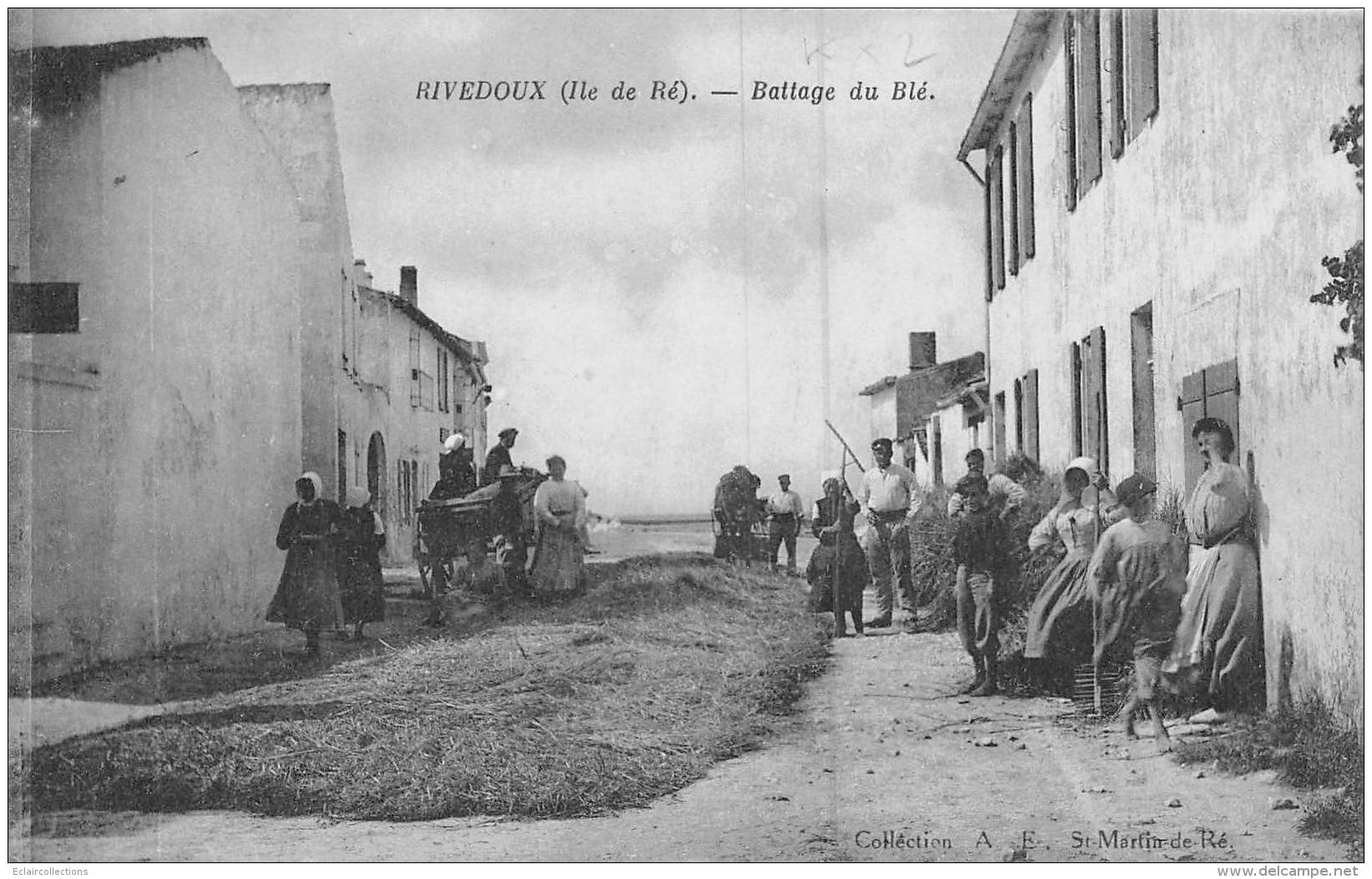 Thème: Agriculture. Battage. Moisson: Battage Du Blé  .  17   Rivedoux Ile De Ré  (voir Scan) - Farms