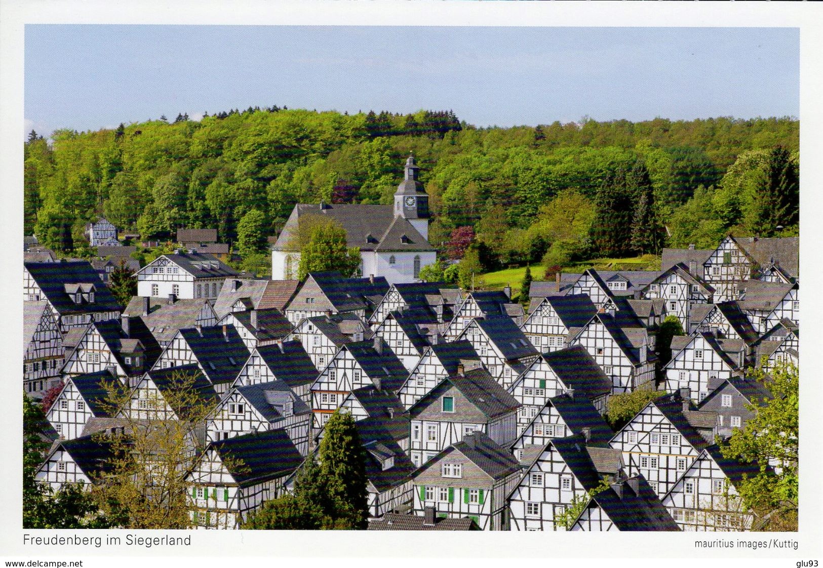 CPM - Freudenberg Im Siegerland - Allemagne - Port Gratuit - Freies Verschiffe - Siegen