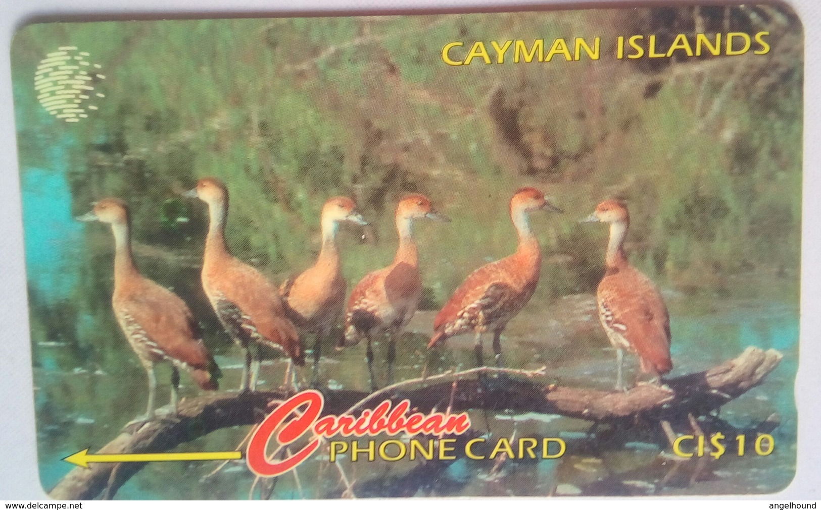 Cayman Islands 13CCIA West Indian Whistling Ducks CI $10 - Kaimaninseln (Cayman I.)