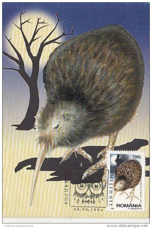 65522- KIWI, BIRD, MAXIMUM CARD, OBLIT FDC, 1998, ROMANIA - Kiwi's