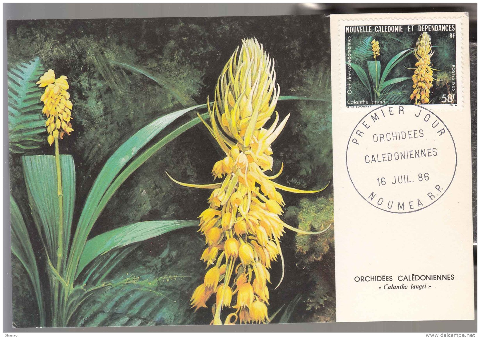 French New Caledonia Caledonie 1986 FDC Card (Premier Jour) Flowers (Orchidees) - Cartas & Documentos