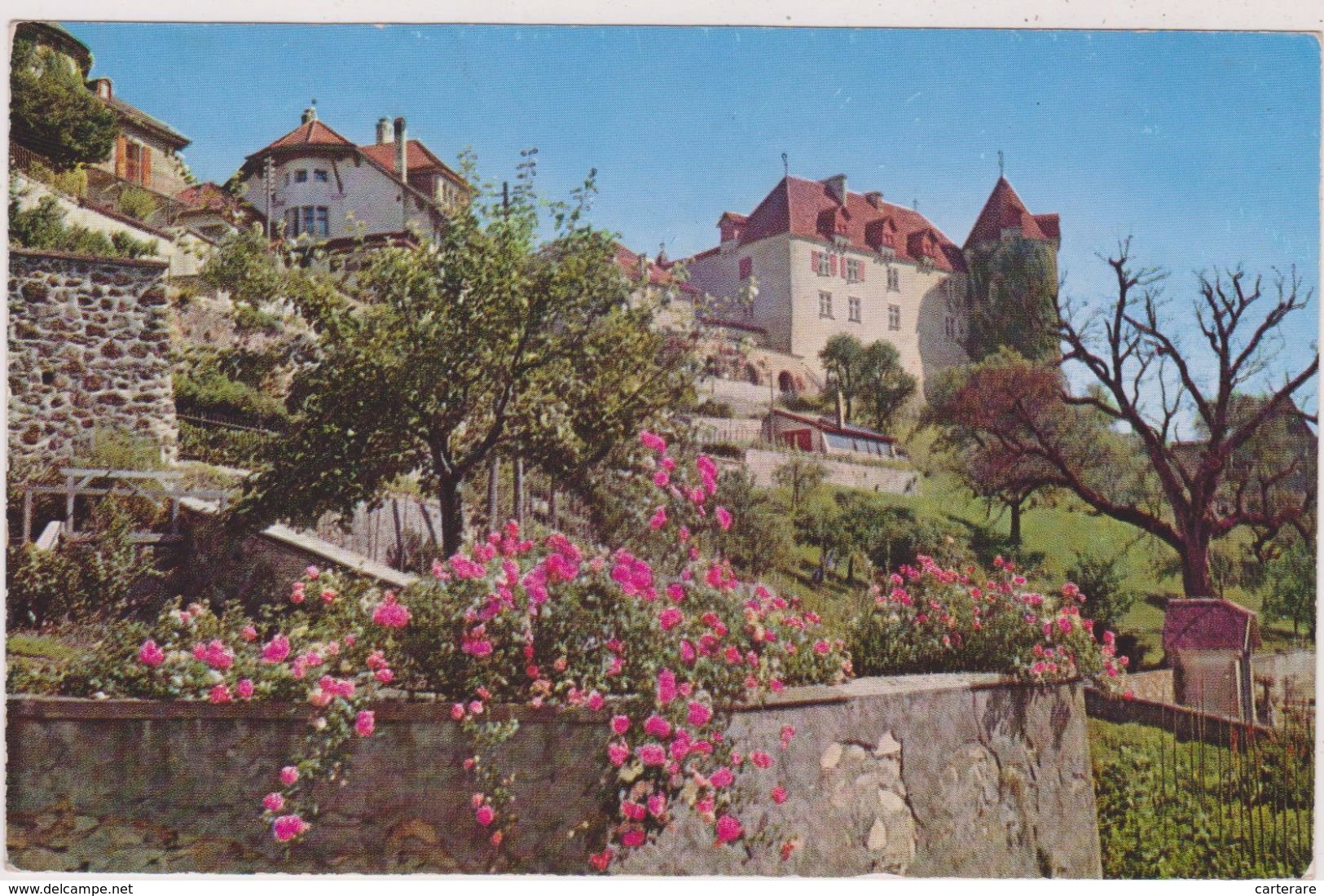 SUISSE,SWITZERLAND,SWISS, HELVETIA,SCHWEIZ,SVIZZERA ,FRIBOURG,GRUYERES,TERRAIN - Fribourg