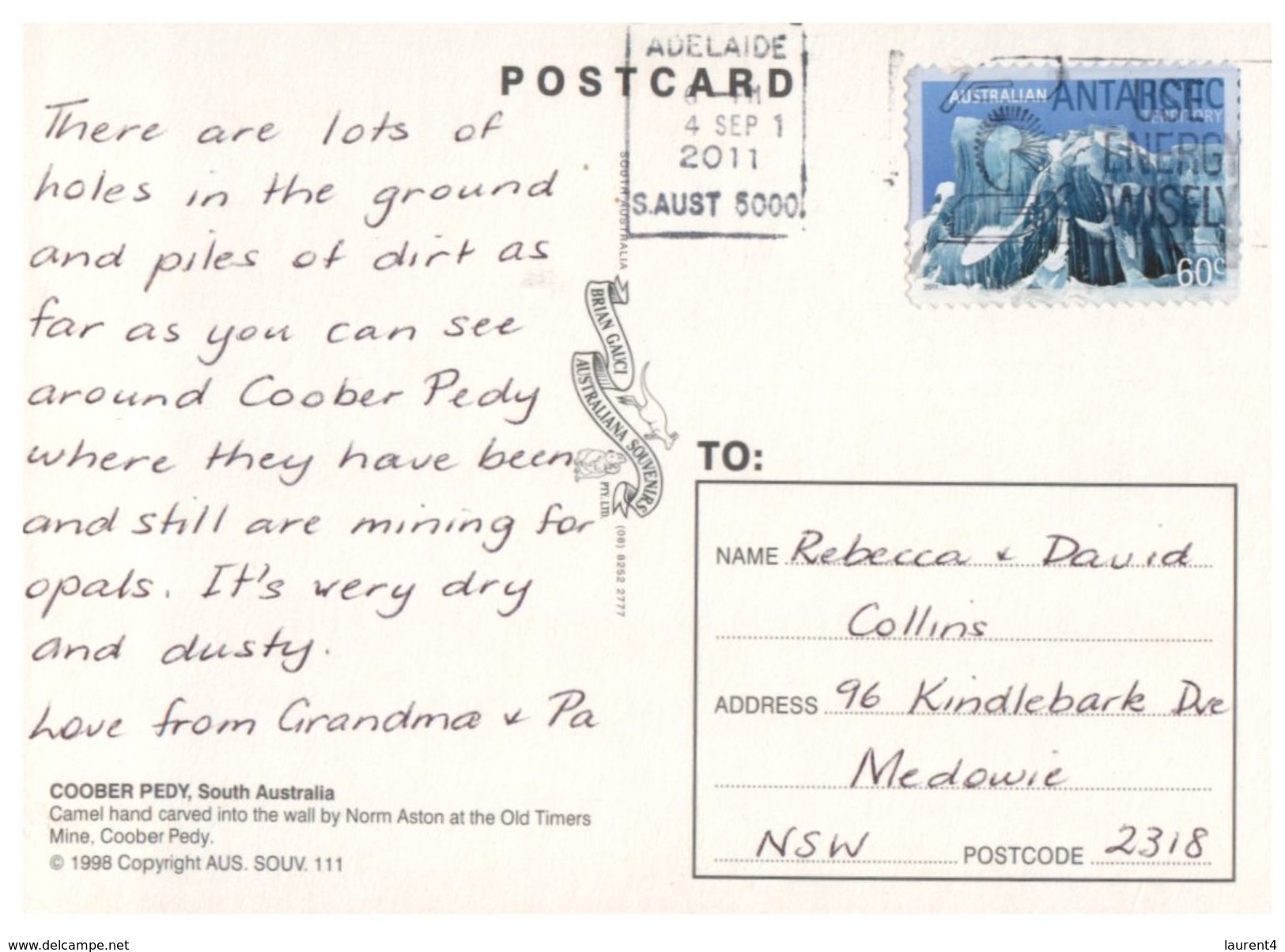 (888) Australia - (with Stamp At Back Of Card) - SA - Coober Pedy With Camel - Coober Pedy