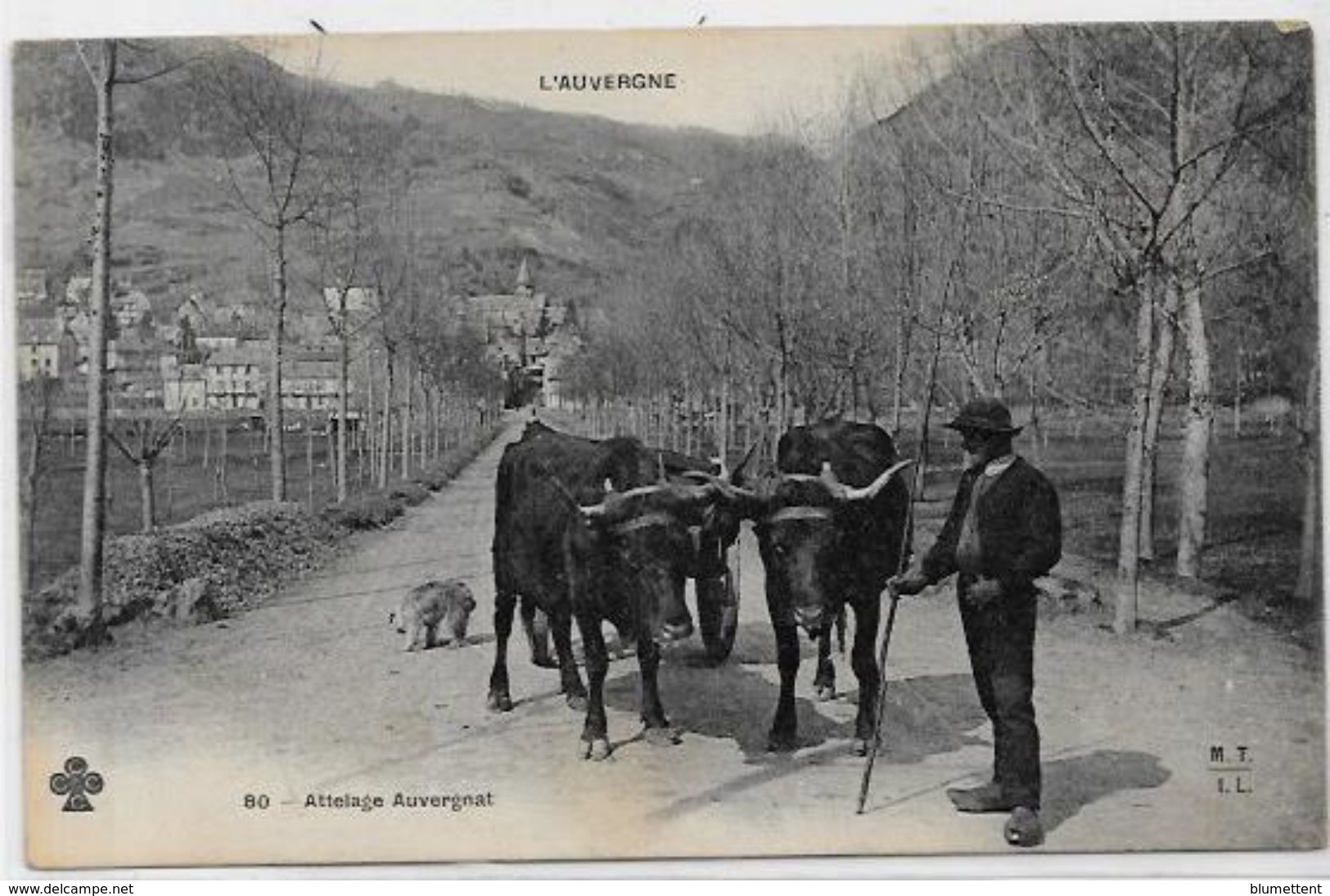 CPA  Attelage Campagne Travaux Des Champs Métier Circulé Auvergne - Spannen