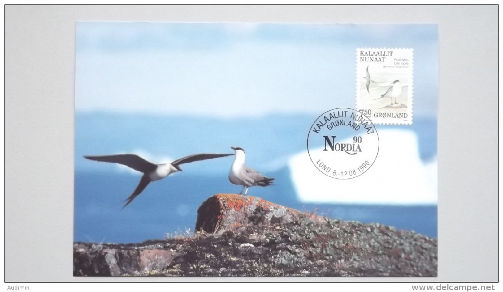 Grönland 200 Yt 188 Maximumkarte MK/CM, SST NORDIA 1990, Falkenraubmöwe (Stercorarius Longicaudus) - Maximum Cards