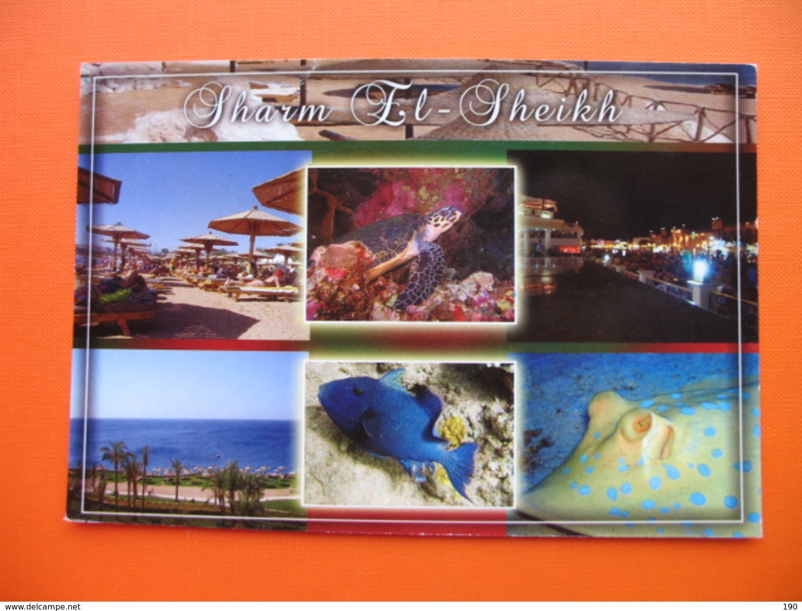 Sharm El-Sheikh - Sharm El Sheikh