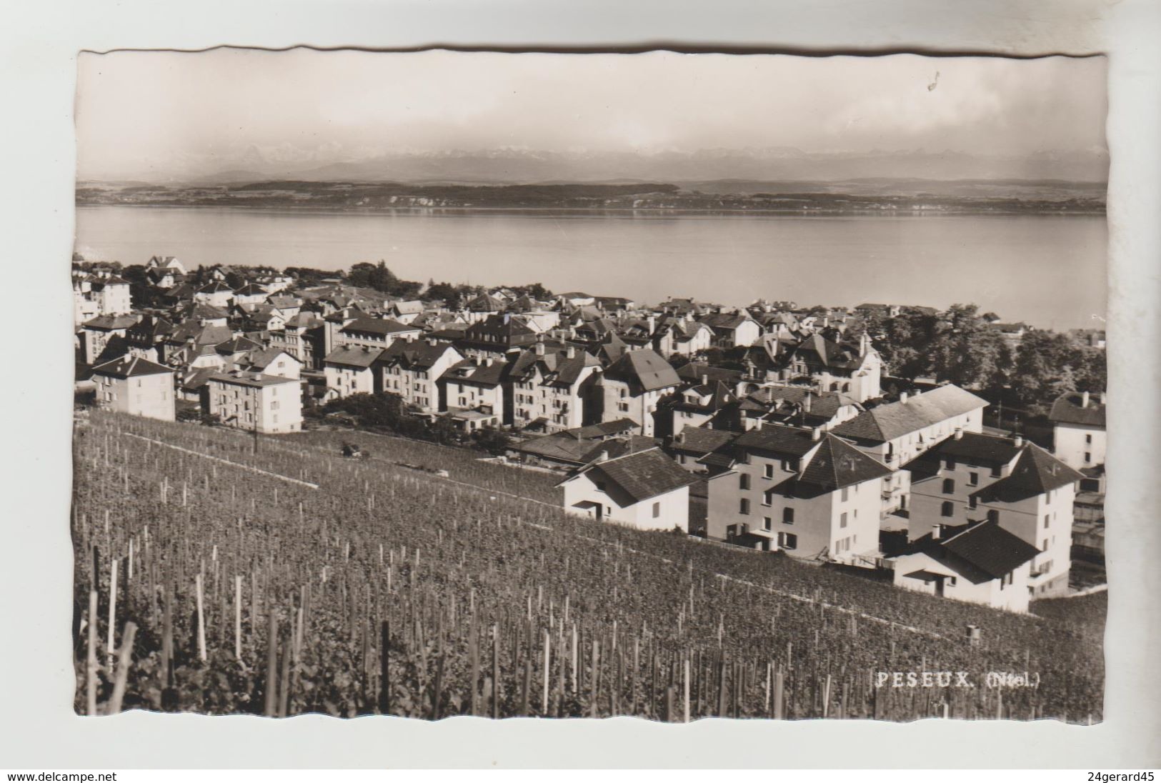 CPSM PESEUX (Suisse-Neuchatel) - Vue Générale - Peseux