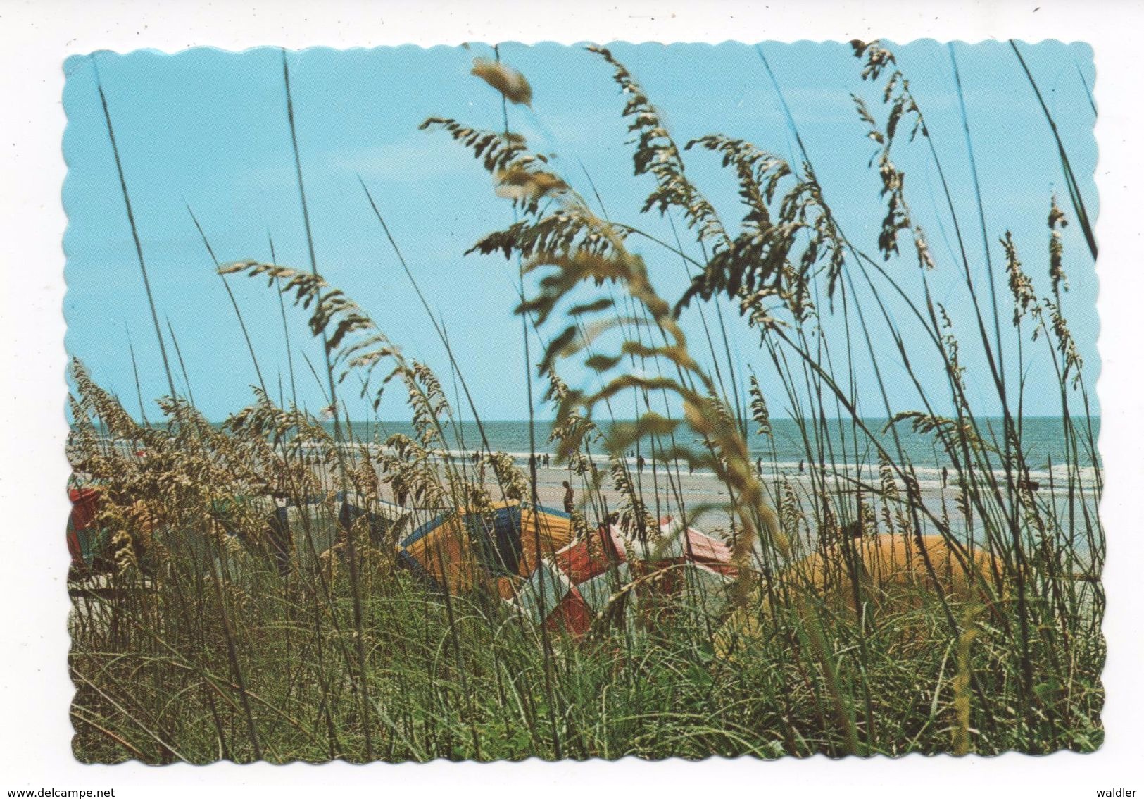 MYRTLE BEACH, THE GRAND STRAD'S WIDE BEACHES ~  1950 - Myrtle Beach