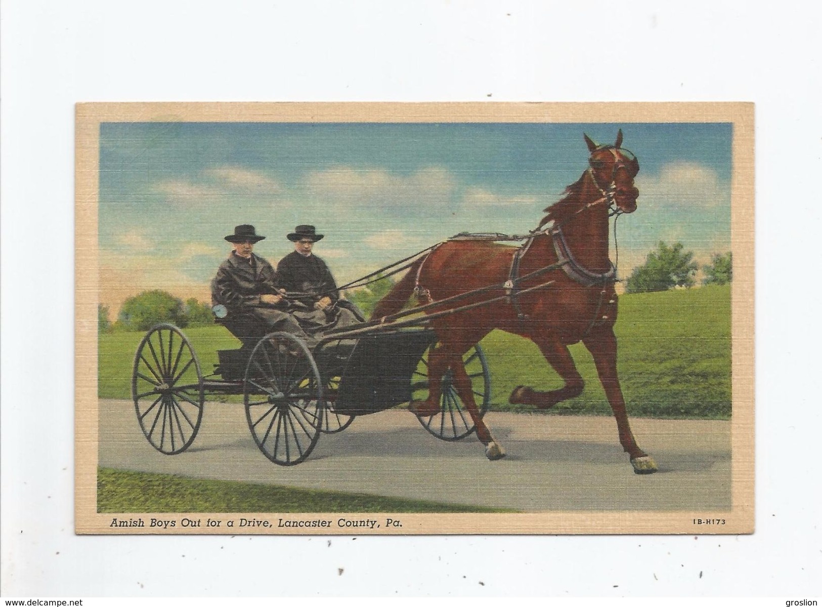 AMISH BOYS OUT FOR A DRIVE LANCASTER COUNTY PA - Lancaster