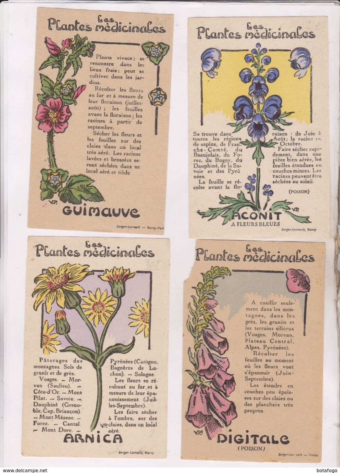 4 CARTES NON POSTALES PLANTES MEDICINALES - Medicinal Plants