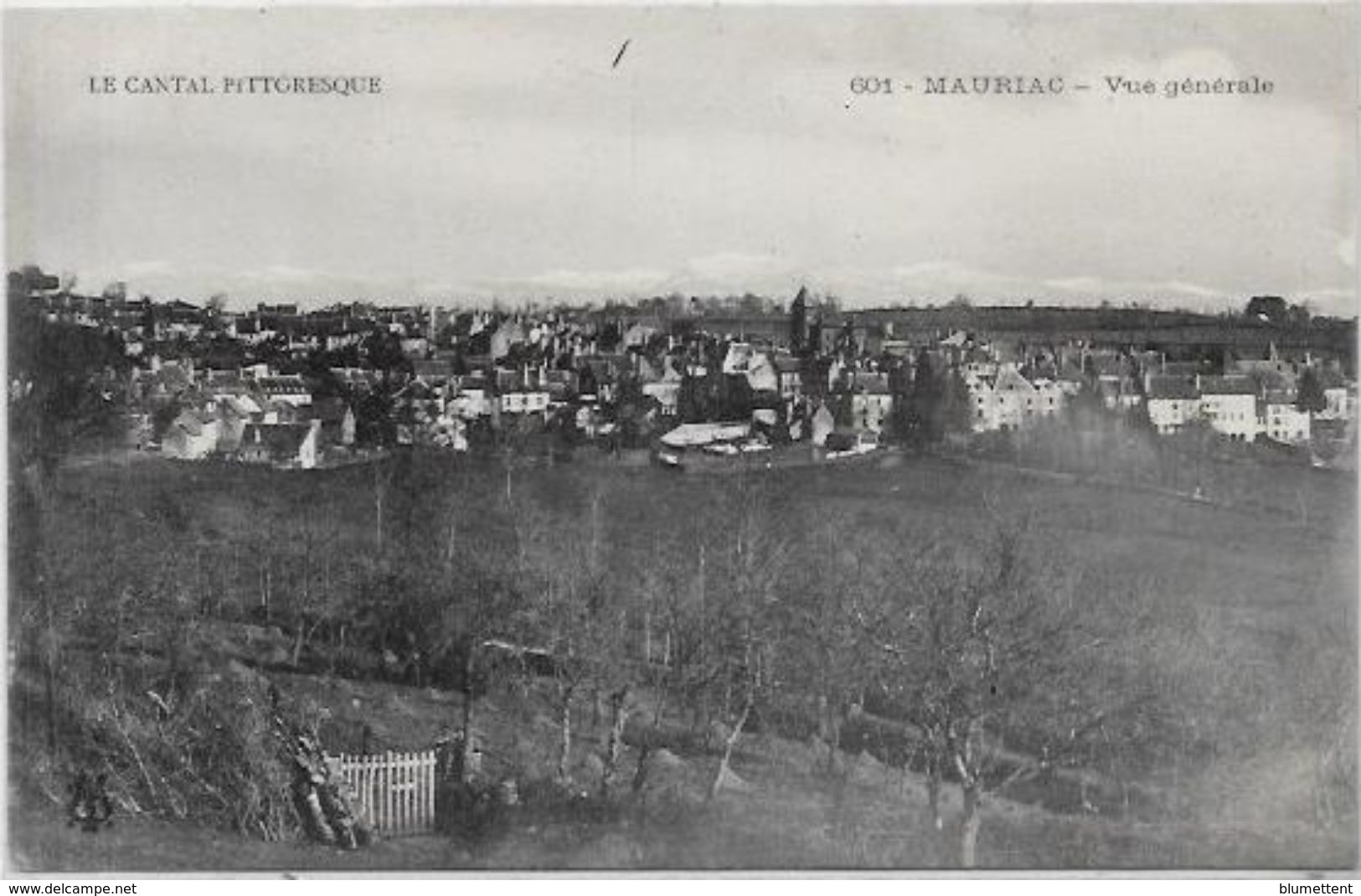 CPA MAURIAC Cantal Département 15 Non Circulé - Mauriac