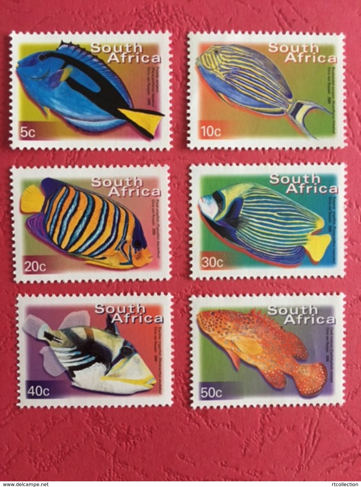 South Africa 2000 - One Set Of 6 Fishes Fish Animals Marine Life Sealife Nature Fauna Stamps MNH SG 1205-1210 - Ongebruikt