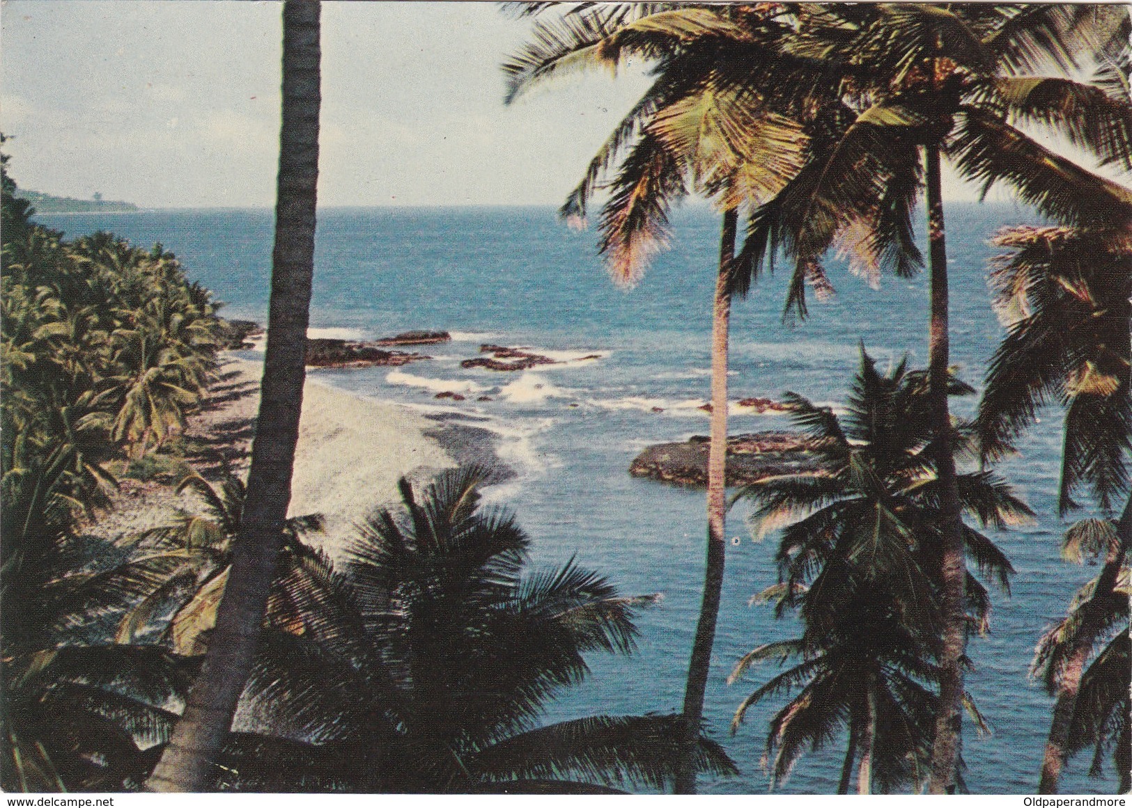 POSTCARD AFRICA - SÃO TOMÉ AND PRINCIPE - NORTE - PONTA DE DIOGO VAZ - São Tomé Und Príncipe