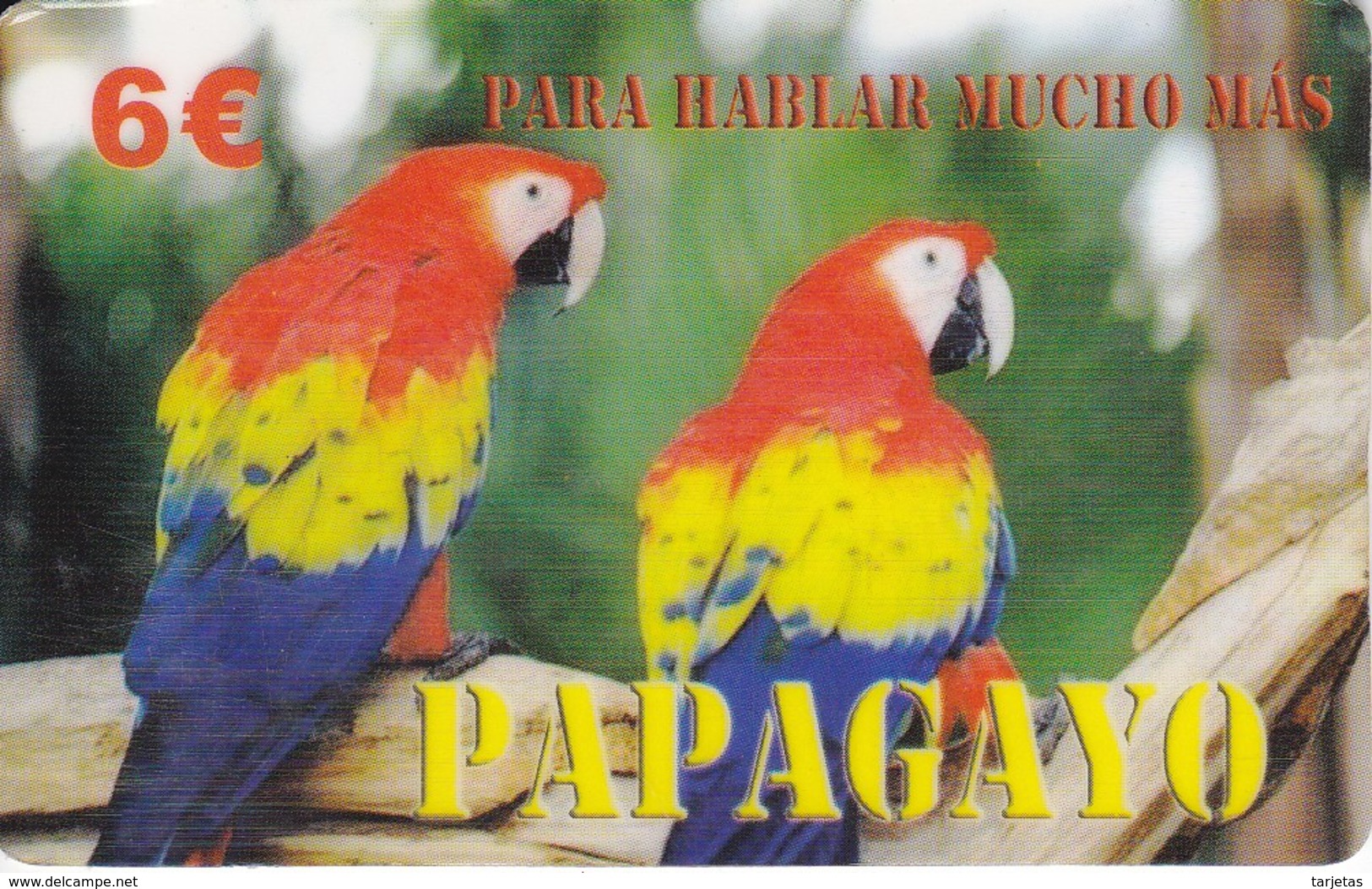 TARJETA DE ESPAÑA DE UNOS PAPAGAYOS LETRAS ROJAS (LORO-PARROT) - Perroquets