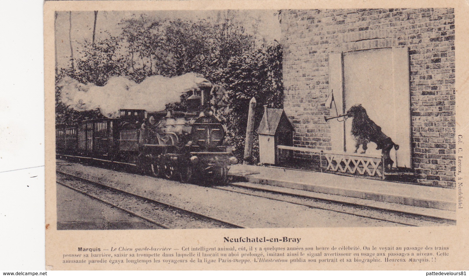 CPA (76) NEUFCHATEL En BRAY Chien Garde-Barrière Phénomène Train Ligne Paris-Dieppe Passage à Niveau - Offranville
